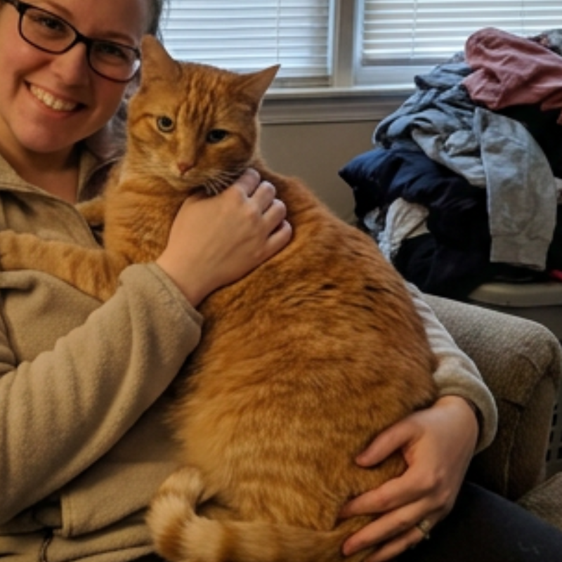 Healthy orange cat held by a smiling owner