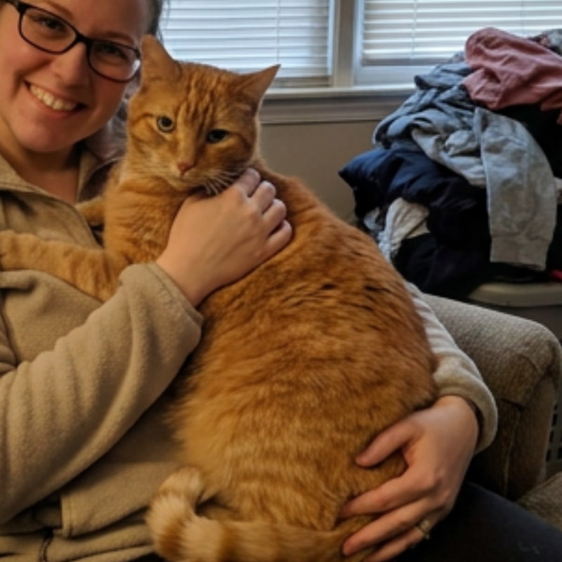 Healthy orange cat held by a smiling owner